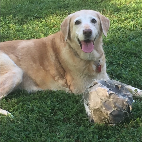 🌷 Poshmark Ambassador • Kathy - Picture 12 of 14